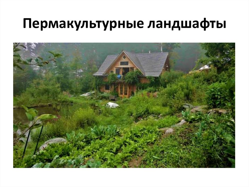 Пермакультурные ландшафты