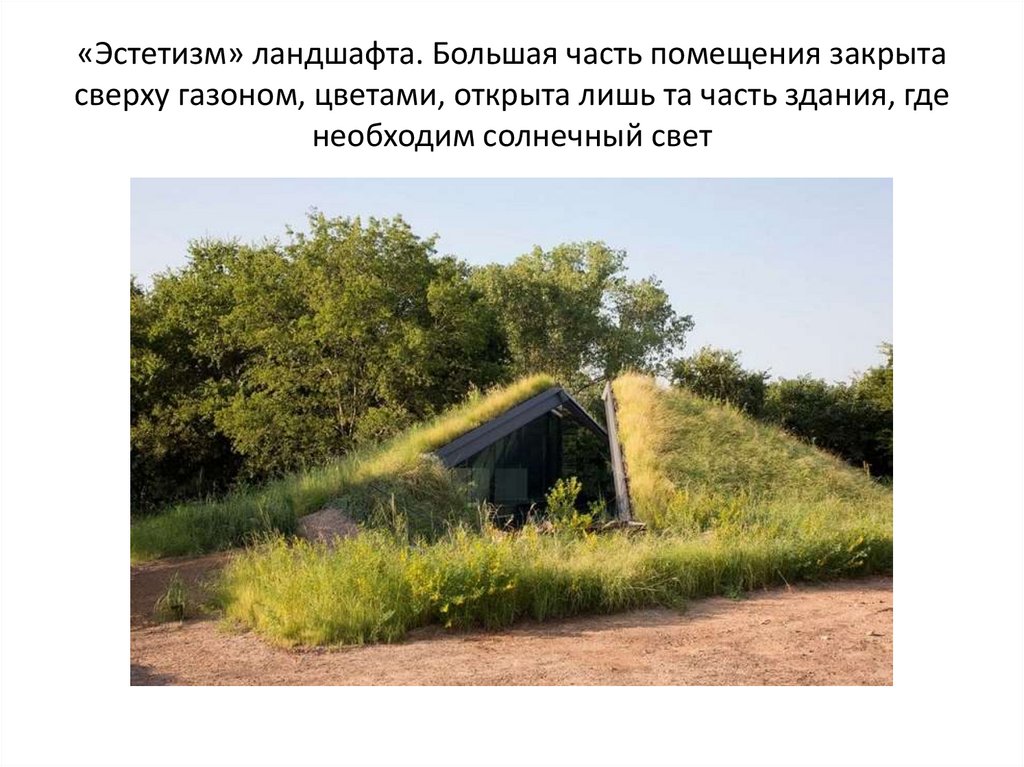 «Эстетизм» ландшафта. Большая часть помещения закрыта сверху газоном, цветами, открыта лишь та часть здания, где необходим
