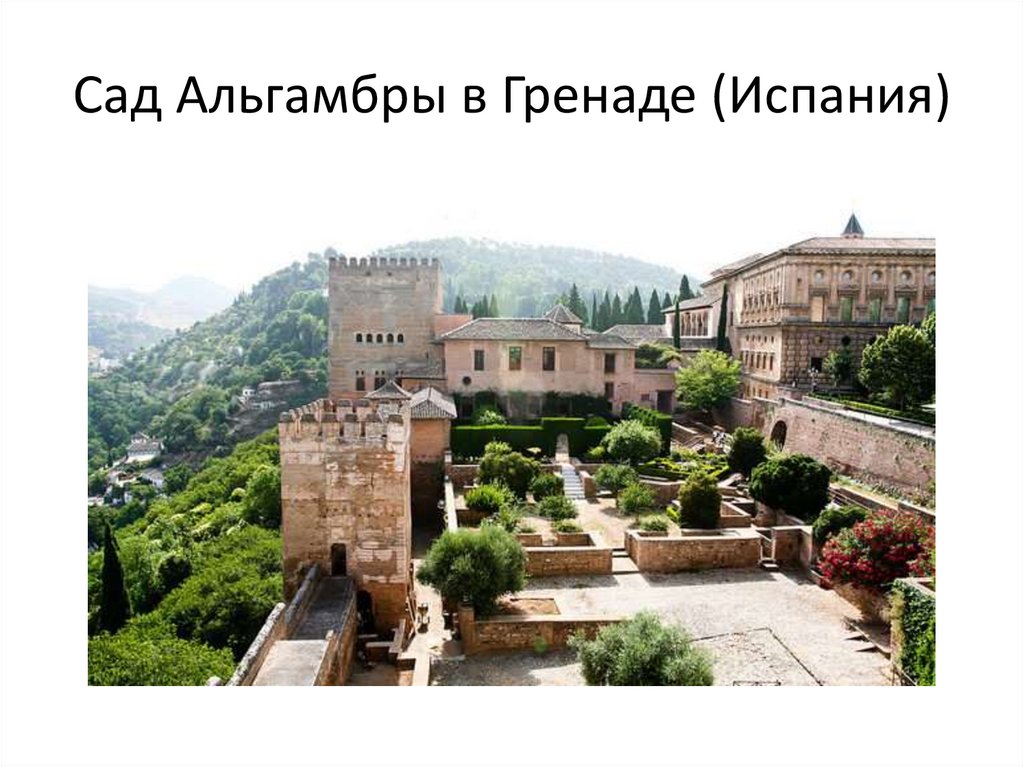 Сад Альгамбры в Гренаде (Испания)