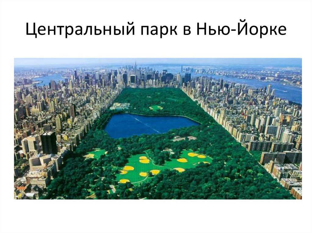 Центральный парк в Нью-Йорке