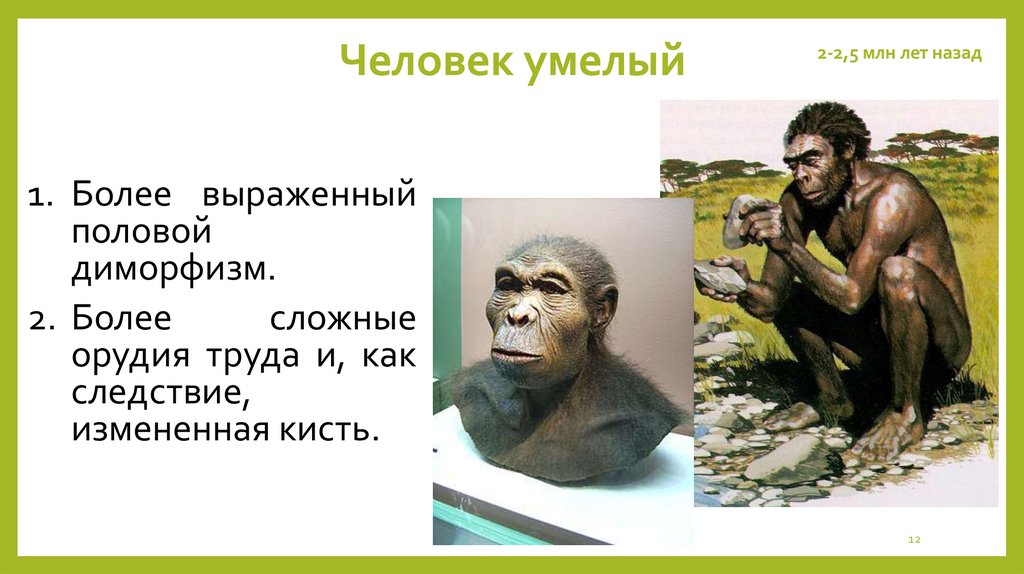 Человек умелый