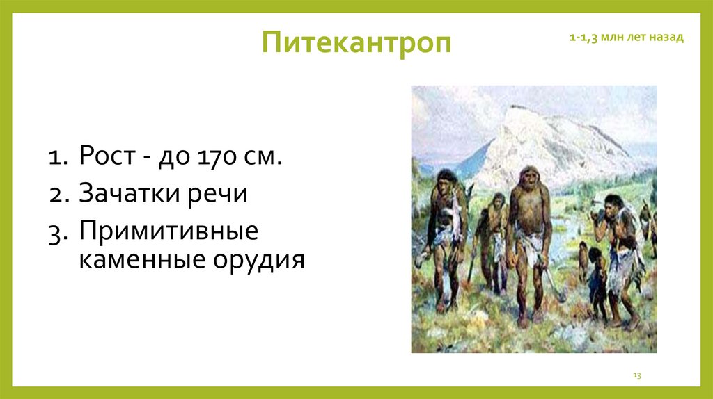 Питекантроп