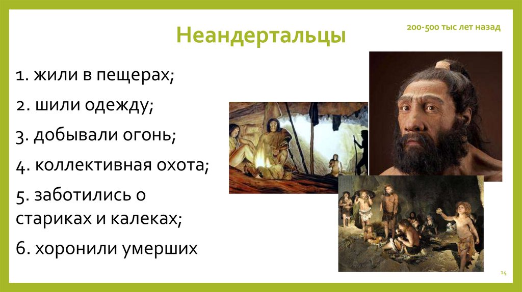 Неандертальцы