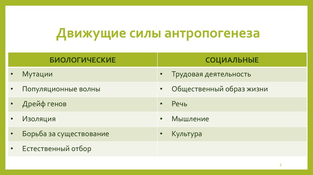 Движущие силы антропогенеза