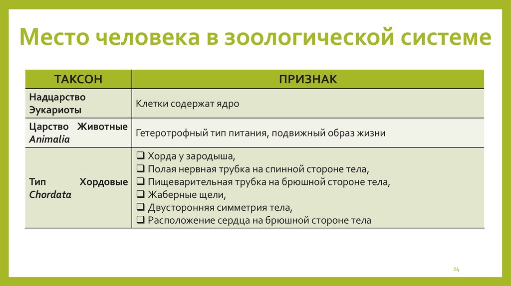 Место человека в зоологической системе