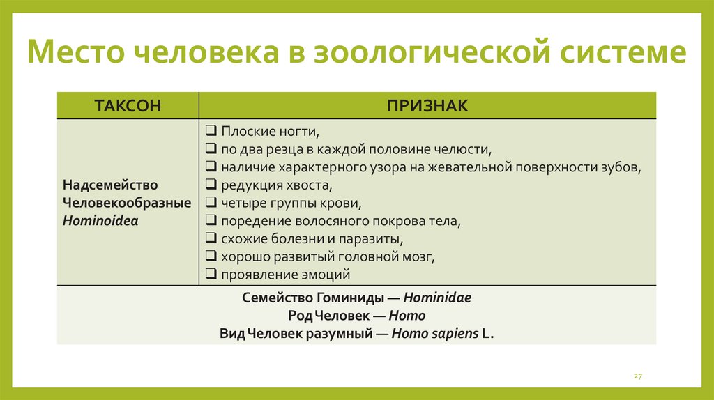 Место человека в зоологической системе