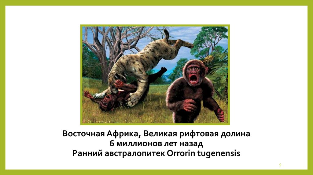 Восточная Африка, Великая рифтовая долина 6 миллионов лет назад Ранний австралопитек Orrorin tugenensis
