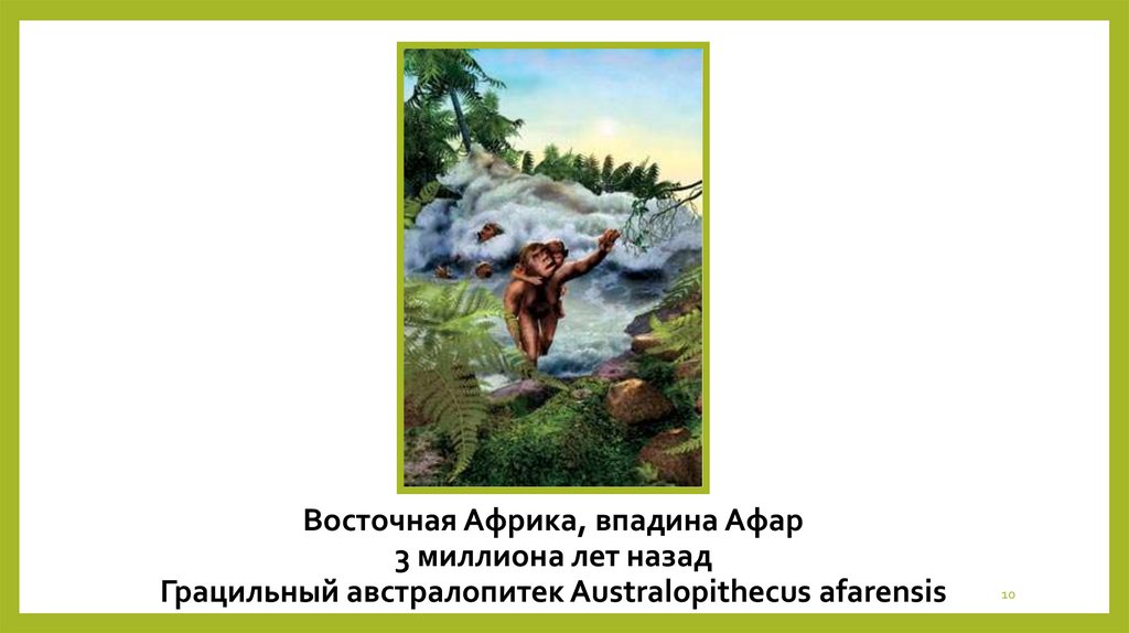 Восточная Африка, впадина Афар 3 миллиона лет назад Грацильный австралопитек Australopithecus afarensis