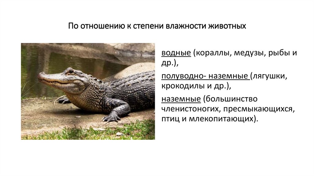 По отношению к степени влажности животных