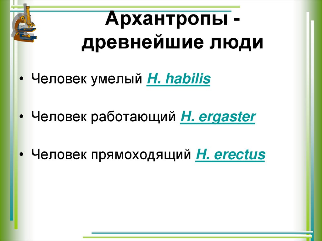 Архантропы - древнейшие люди