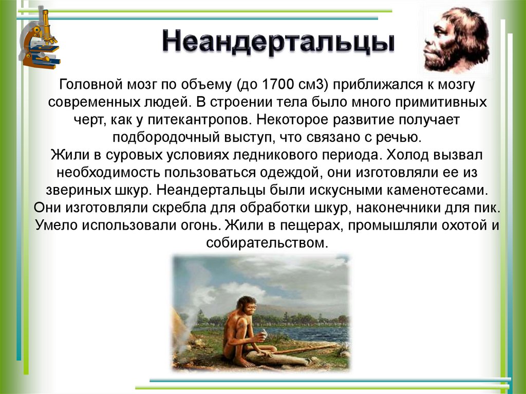 Неандертальцы