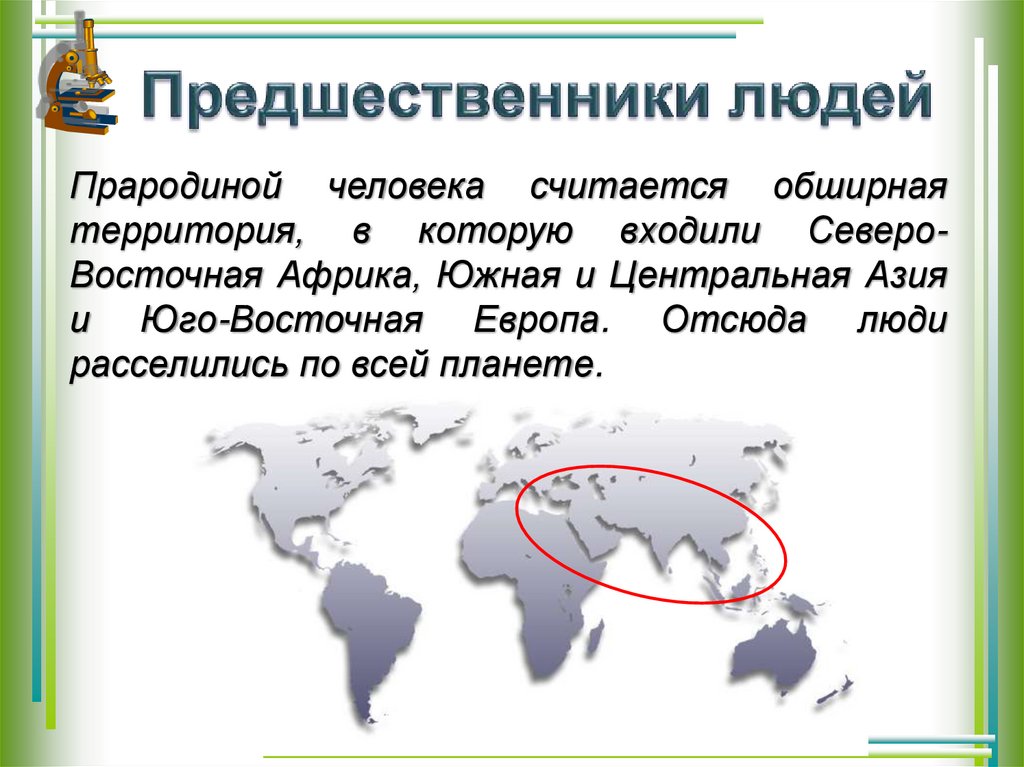 Предшественники людей