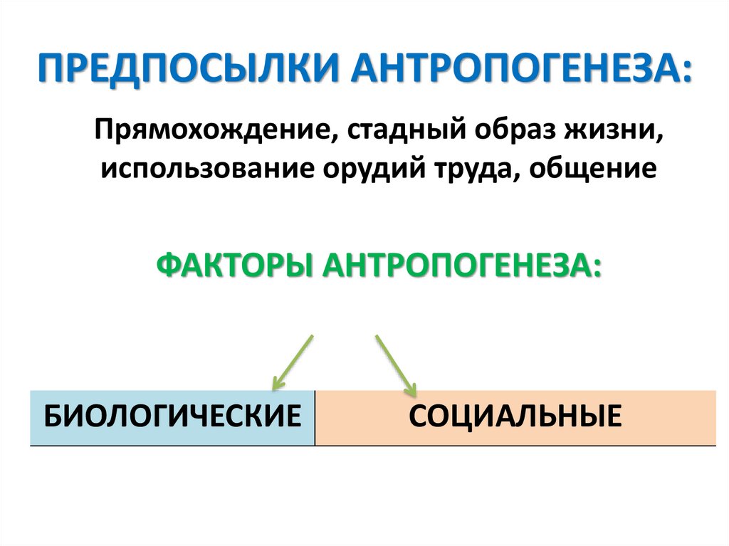 ПРЕДПОСЫЛКИ АНТРОПОГЕНЕЗА: