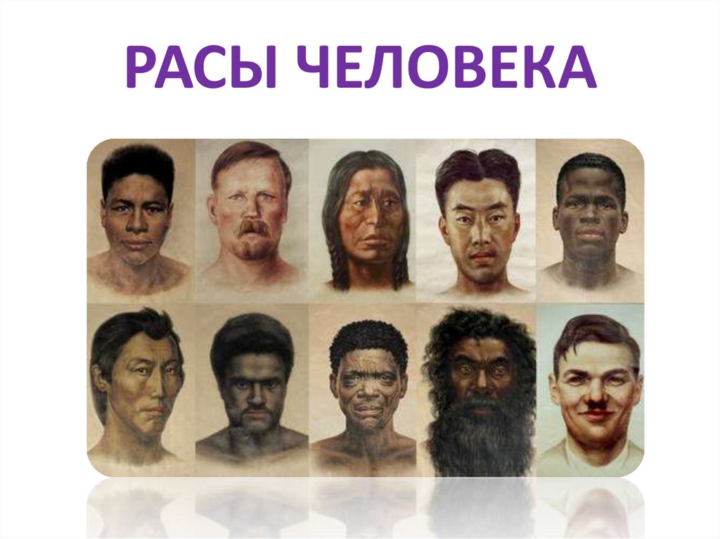 РАСЫ ЧЕЛОВЕКА
