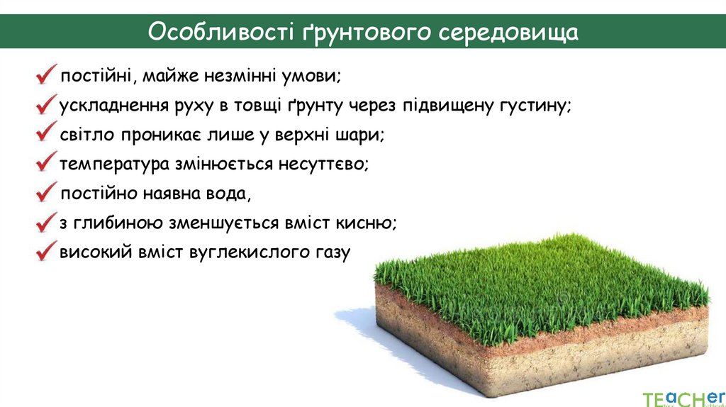 Особливості ґрунтового середовища