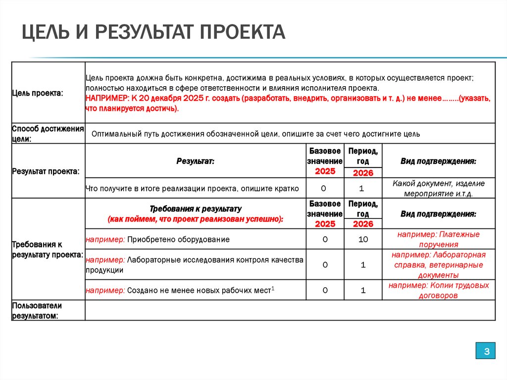 ЦЕЛЬ И РЕЗУЛЬТАТ ПРОЕКТА