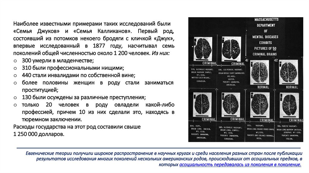 Наиболее известными примерами таких исследований были «Семья Джуков» и «Семья Калликанов». Первый род,