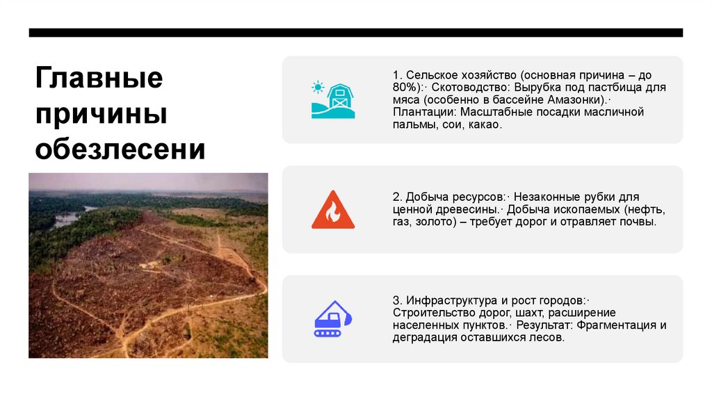 Главные причины обезлесения
