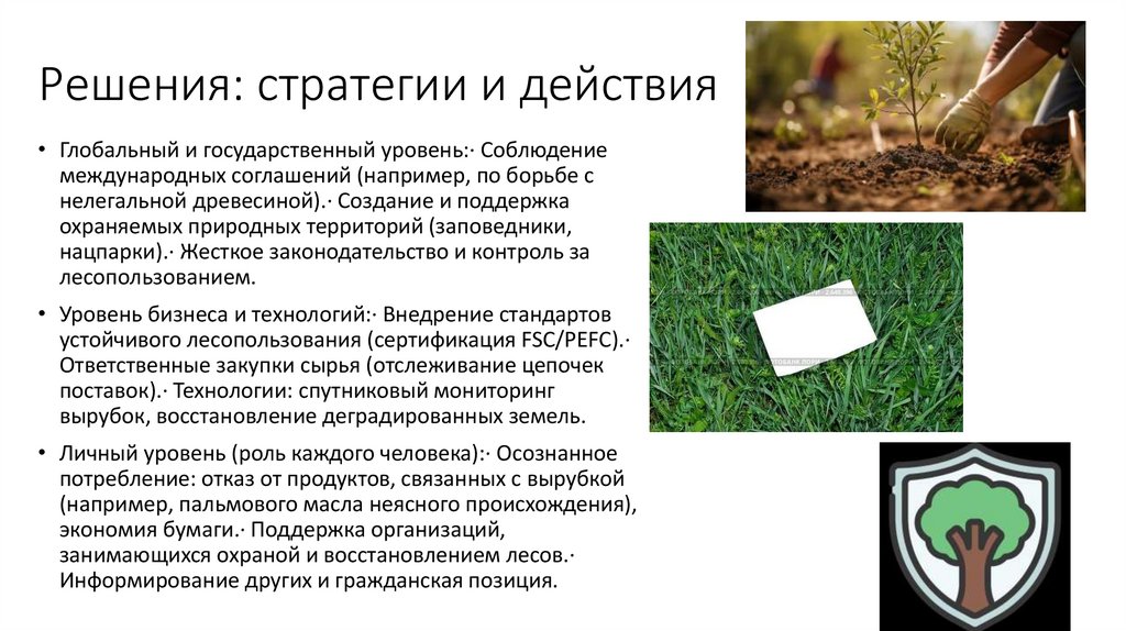 Решения: стратегии и действия