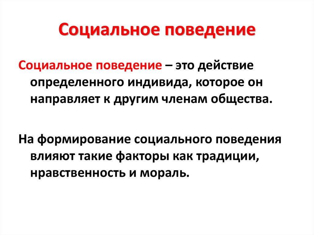 Социальное поведение