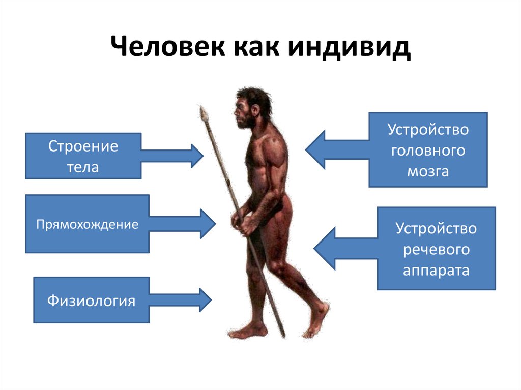 Человек как индивид
