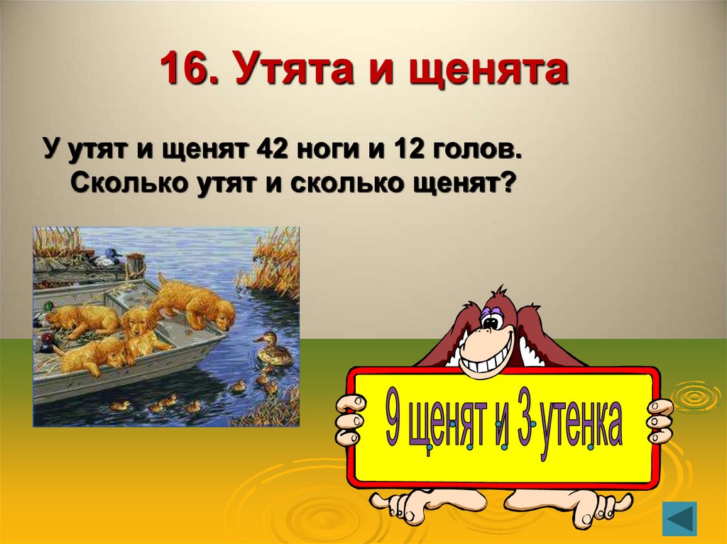16. Утята и щенята