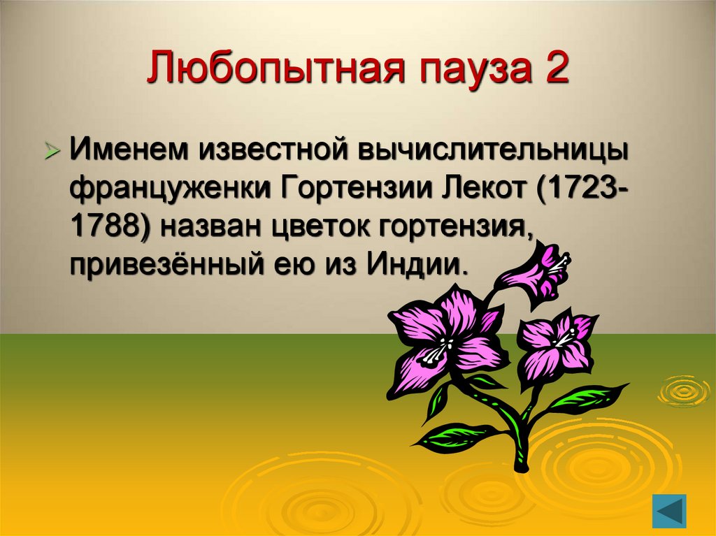 Любопытная пауза 2
