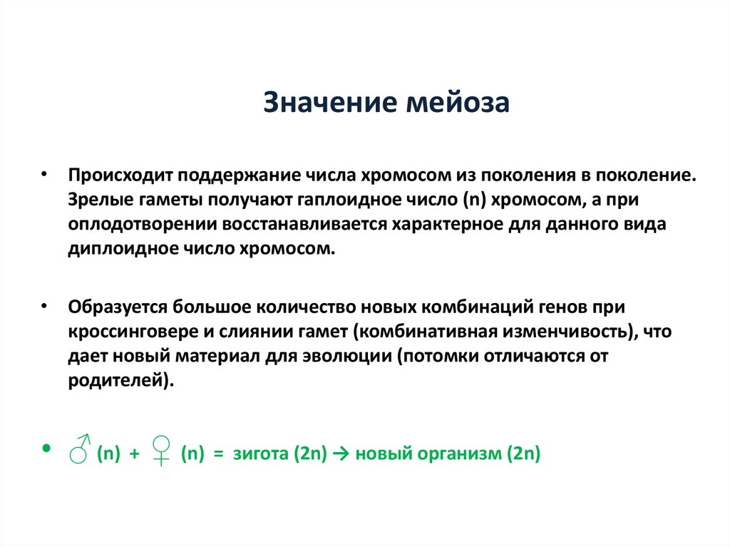 Значение мейоза