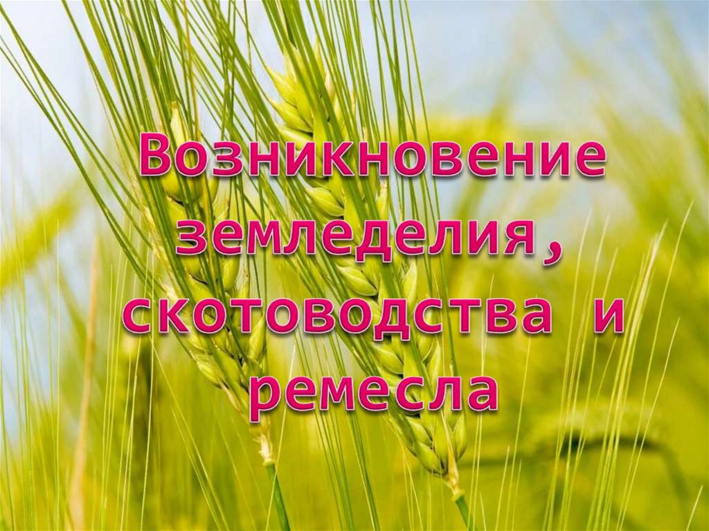 Возникновение земледелия, скотоводства и ремесла