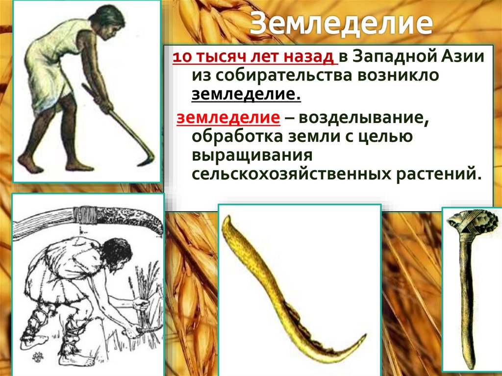 Земледелие