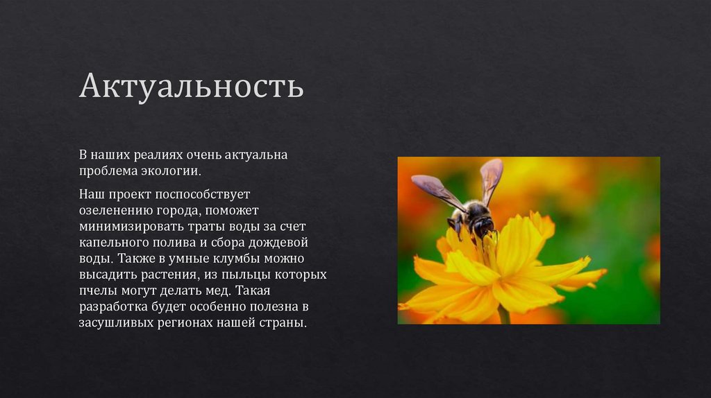 Актуальность