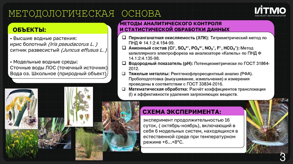 МЕТОДОЛОГИЧЕСКАЯ ОСНОВА