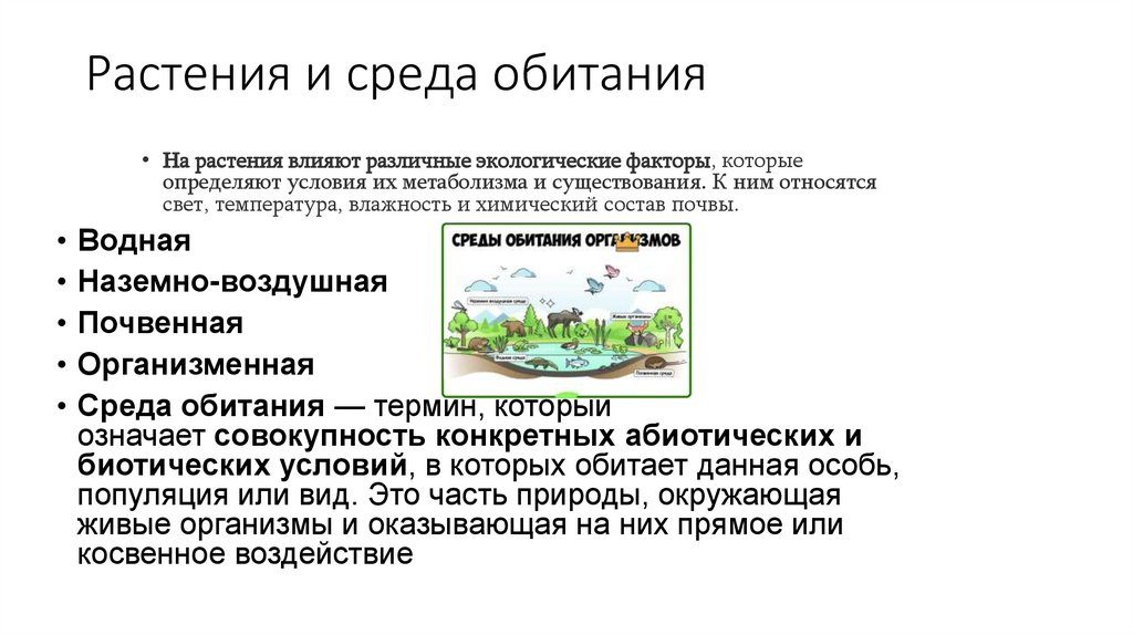 Растения и среда обитания