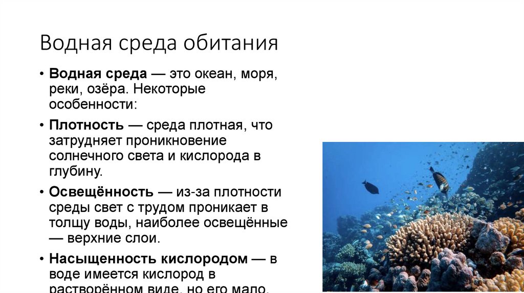 Водная среда обитания