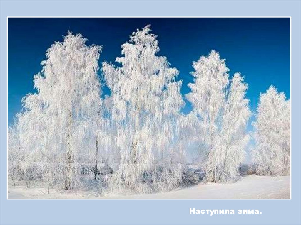 Наступила зима.