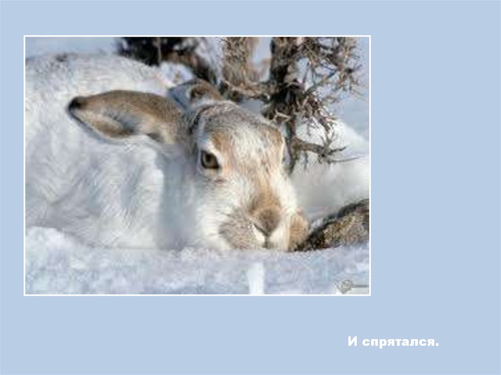 И спрятался.