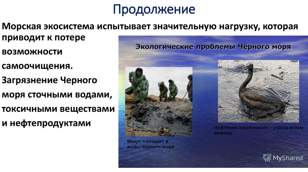 Продолжение