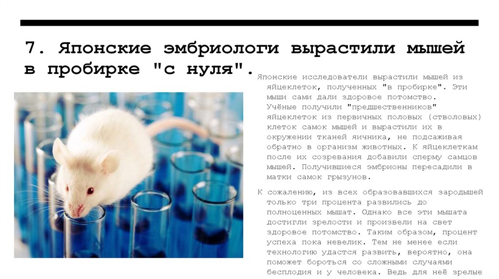 7. Японские эмбриологи вырастили мышей в пробирке "с нуля".