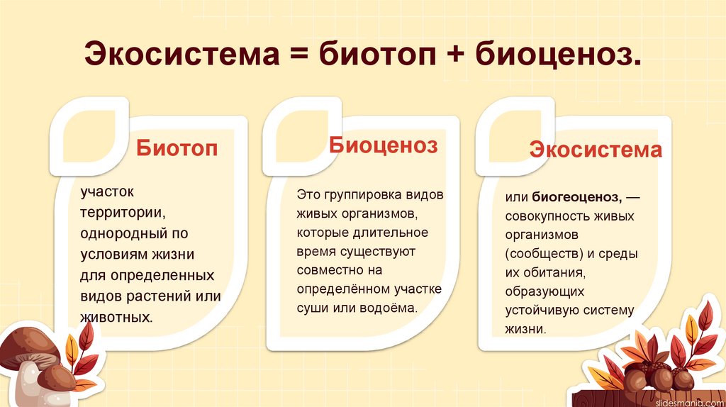 Экосистема = биотоп + биоценоз.