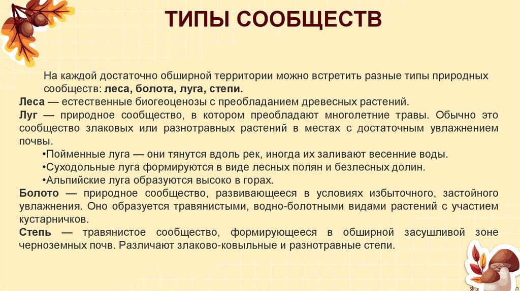 ТИПЫ СООБЩЕСТВ