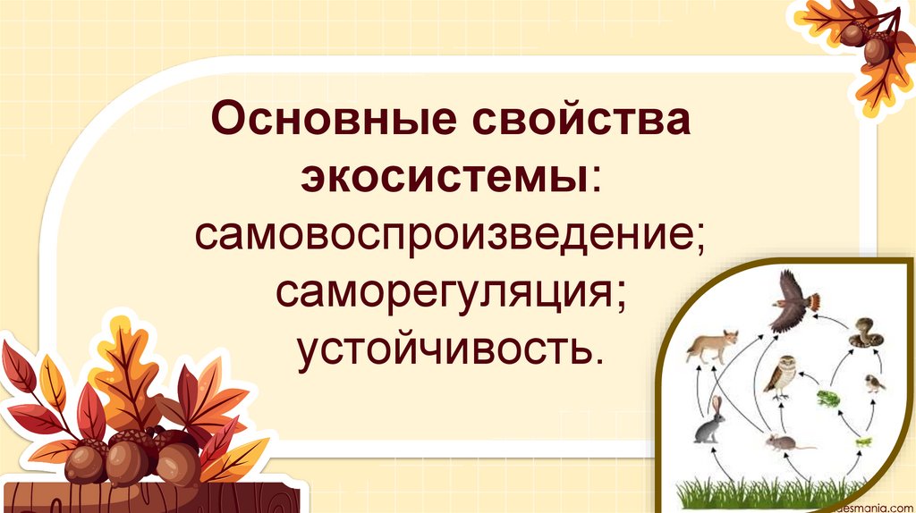 Основные свойства экосистемы: самовоспроизведение; саморегуляция; устойчивость.