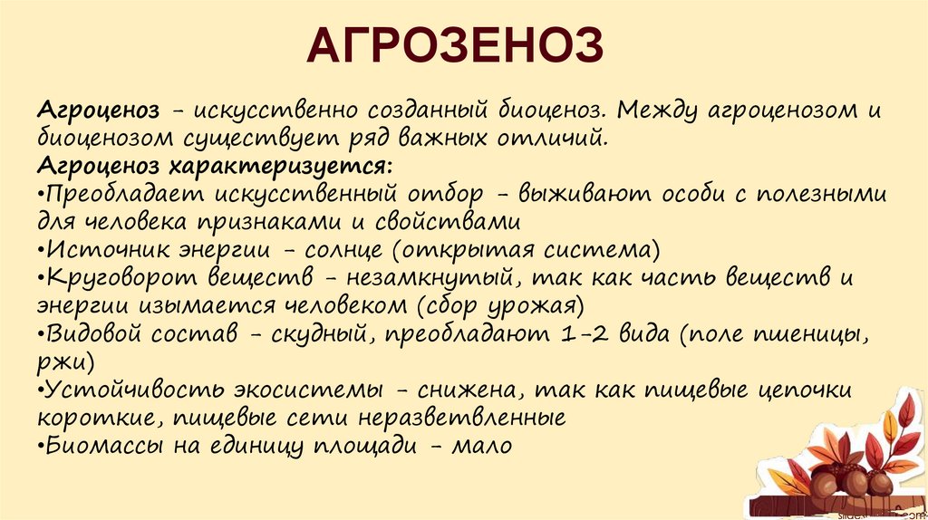АГРОЗЕНОЗ