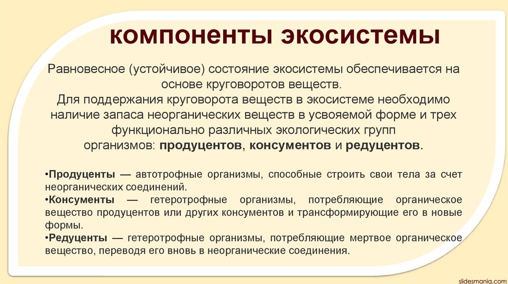 компоненты экосистемы