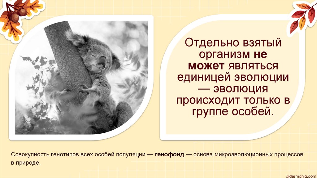 Отдельно взятый организм не может являться единицей эволюции — эволюция происходит только в группе особей.