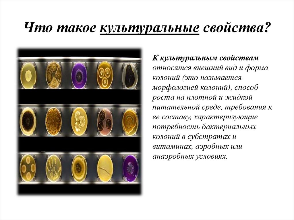 Что такое культуральные свойства?