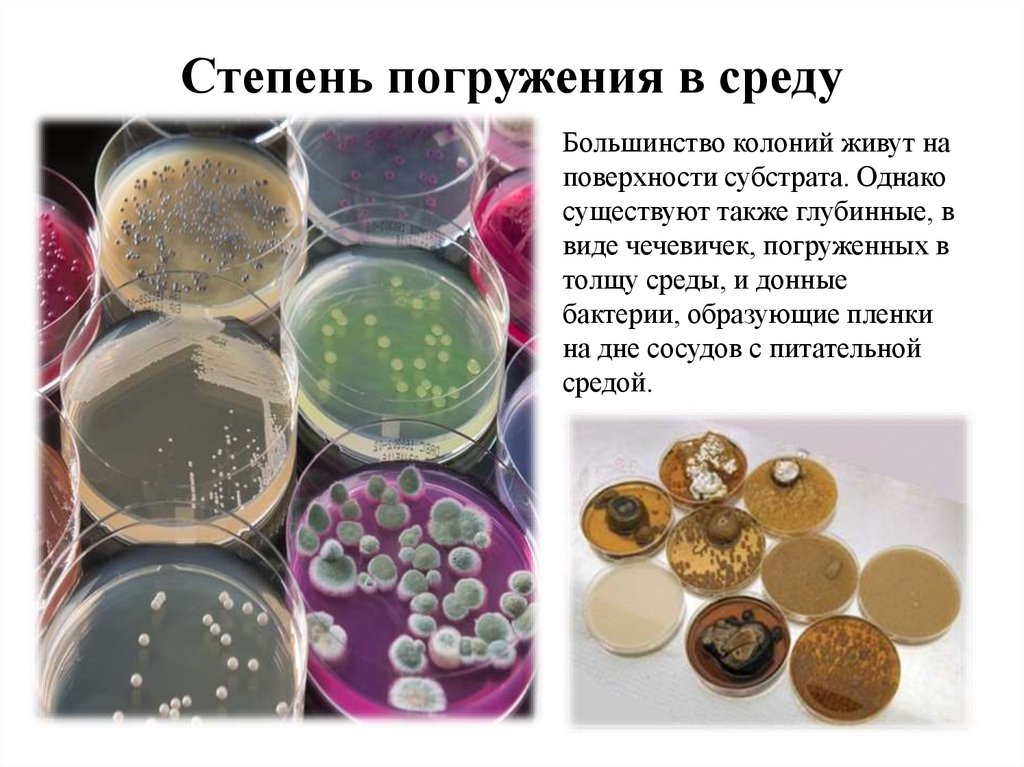 Степень погружения в среду