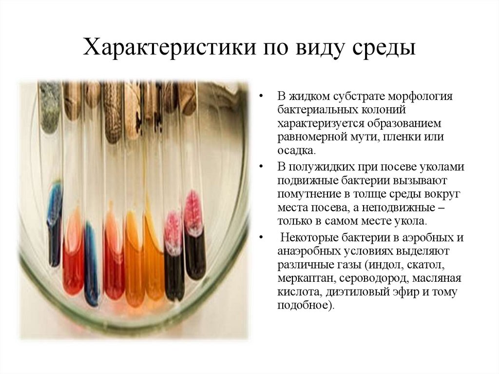 Характеристики по виду среды