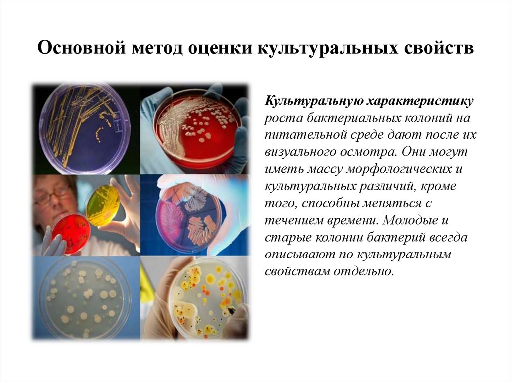 Основной метод оценки культуральных свойств