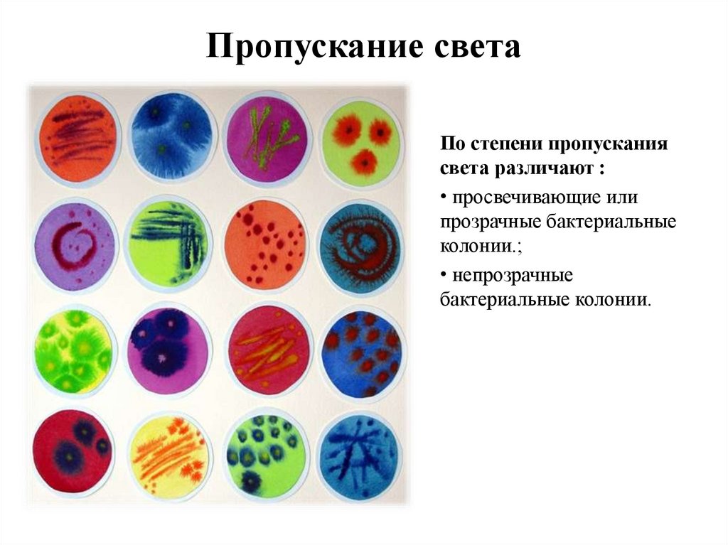 Пропускание света