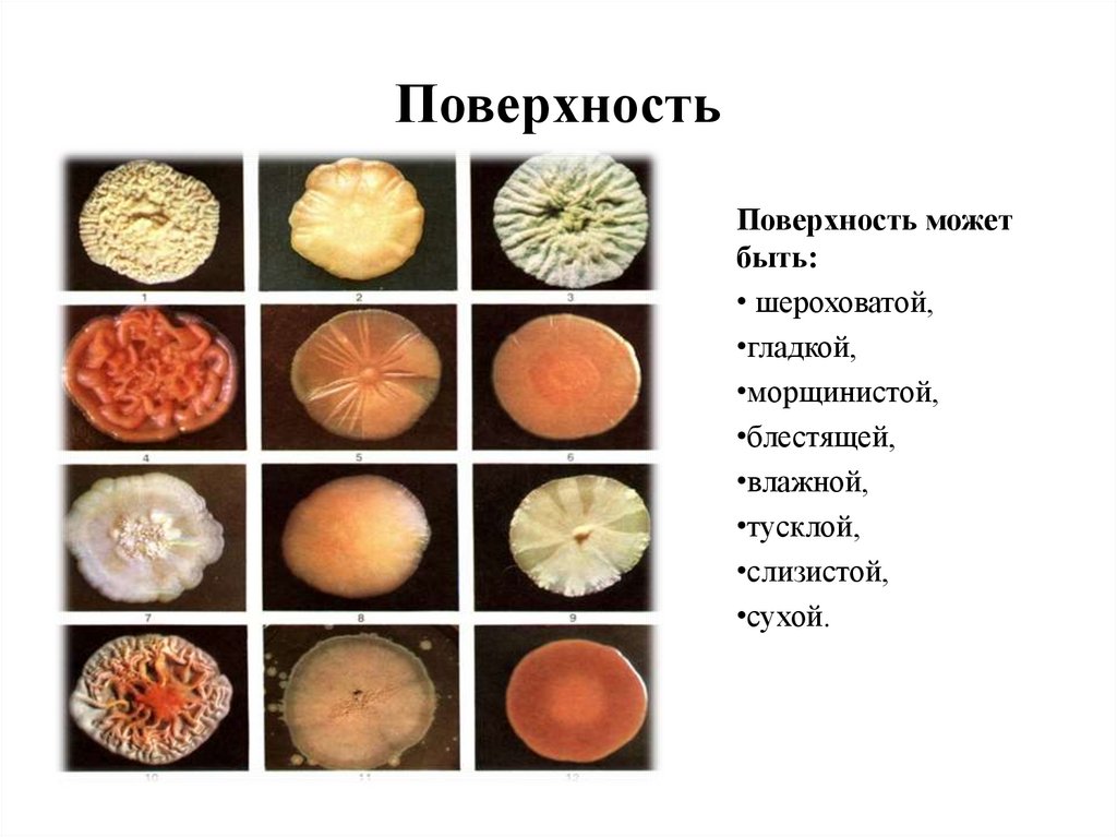 Поверхность